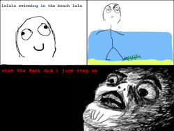 sumfight:  Why i don’t like swimming on the beach 