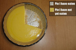 funnyreblogger:  Very Accurate Pie Chart