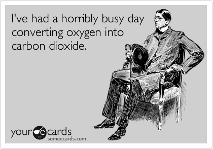 I’ve had a horribly busy day converting oxygen into carbon dioxide.