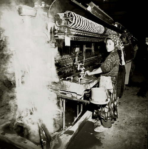 reblololo:Liu Zheng, Xinjang Girl Working In Textile Factory, Hetian, Xinjang Province, China, 1996T