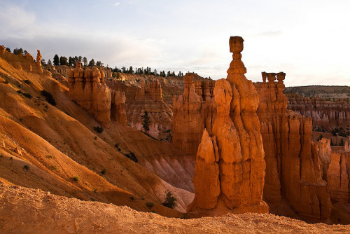 First Light | Thor’s Hammer, Bryce Canyon National Park, Utah© James Marvin Phelps