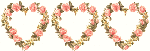 vois la vie en rose