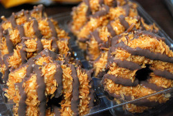 holymotherofhnng:  #fucking caramel delites #i want them so much#they are my favorite what? they changed the name? these will always be Samoas. 