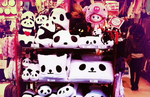 Nevershoutnever :3