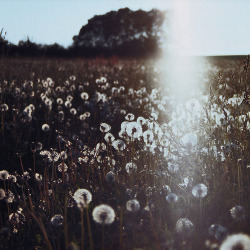 xxx tumblr