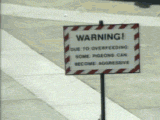 The 8th GIF In Your Folder Is The reaction Of When You'll Finaly get a Boyfriend.