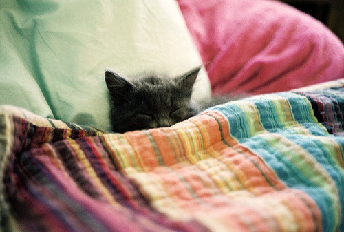 &hearts;