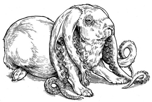 agentmlovestacos:  Squidrabbit just wants to hug you with tentacle ears. 