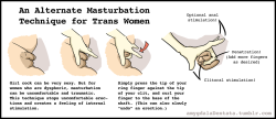 amydentata:  [Edit: Added additional information.] By request, this is an explanation of how I masturbate now. It’s completely changed the experience. For someone as dysphoric as I am, it’s a life-changer. I discovered that curling my clit inwards