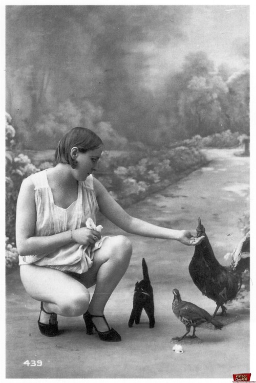 Vintage erotic photo of a girl with farm animals