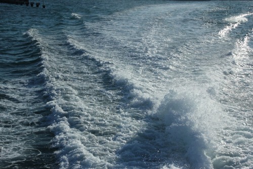 frozen motion (cancun)