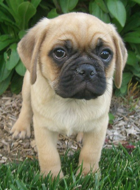 Omg &hellip; I want one! &lt;3