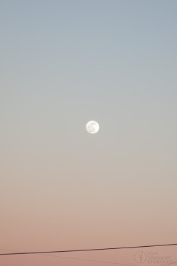 The moon looked so lovely against the muted