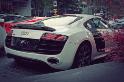  Audi R8 V10 