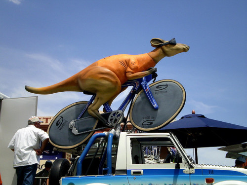 highrise:  Skippy has Wheels! (by jdtikarmadj)