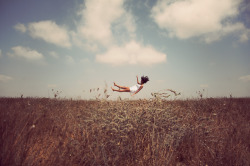 photojojo:  Our theory: the trampoline is hiding. Photo by Tom Lahat 