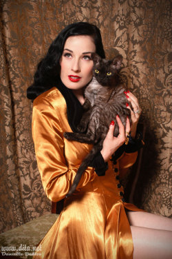 suicideblonde:  Dita von Teese with her kitty 