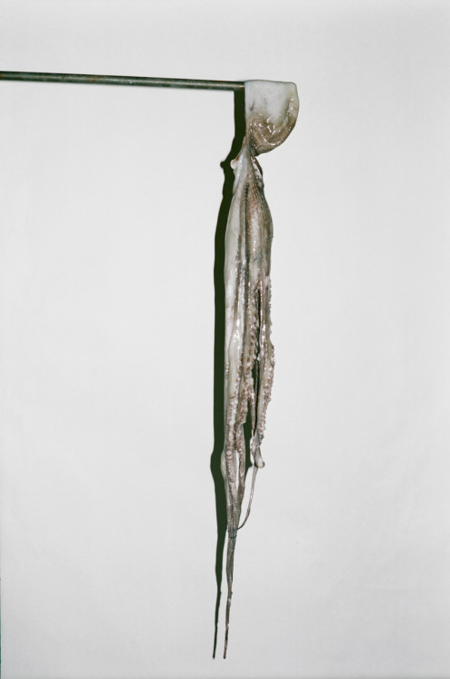 alieneyeball: octopuss. 2008.