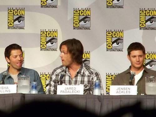 i-wuv-virgins:  Misha: HERP Jared: DERP Jensen: FLAWLESS GOD 