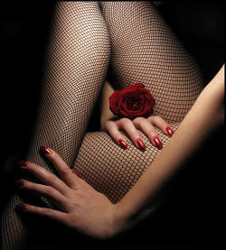 fetishistic:  the red rose 