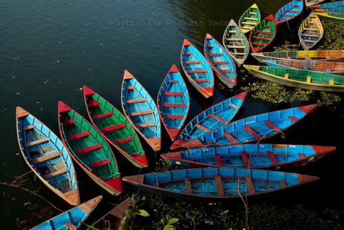 Boats in Fewa Lake, Pokhara, Nepal© Om Yadav