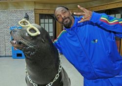 donniefuckingdarko:  snoop dogg and a seal there is no reason why I shouldn’t reblog this 