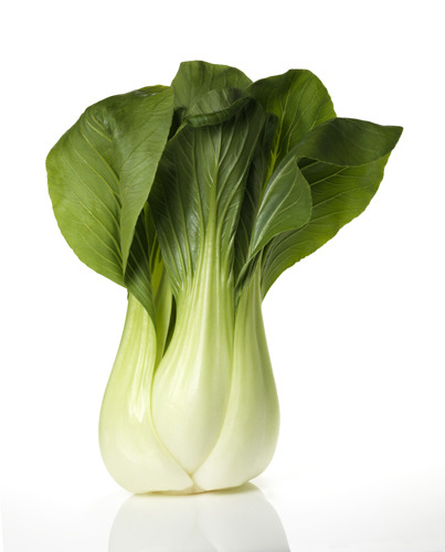 condomsinmyfood:  tonyturnsmeon:  bok choy  bok choy  bok choy