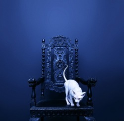 miezekatzen:  on my throne 