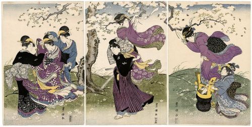 yajifun:Cherry Blossoms in the Wind / Toyokuni 花の風　歌川豊国　1795～1801年頃 「紅嫌い」という手法なのかな、これは。