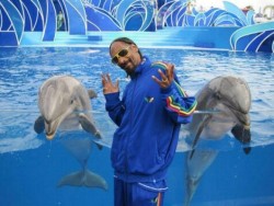 snoop with dolphins.