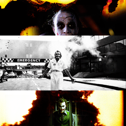 catfromjapan:   Introduce a little anarchy. Upset the established order, and everything