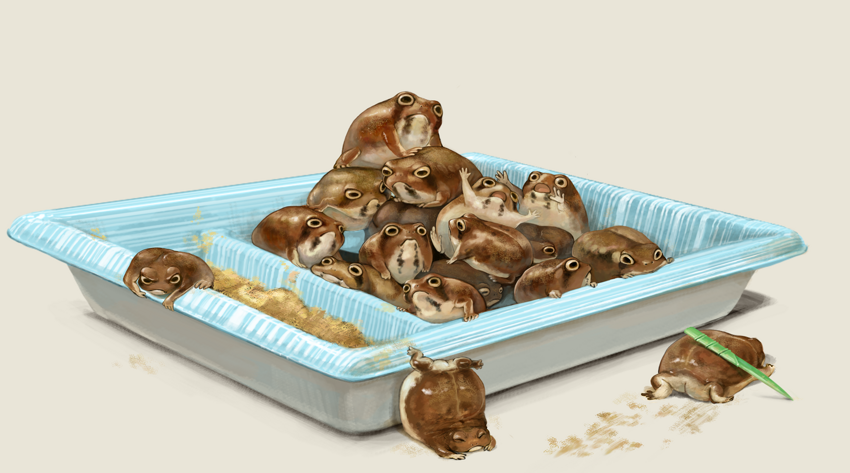rooshoes:  cattylala:  come to me my darlings  toadlings  me