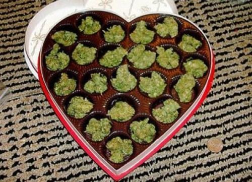mamarotten:  vivalajewdick:  get me this for valentines day ,please   Omfg&lt;3