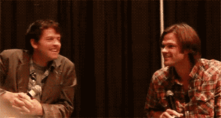 When people say they don't understand tumblr