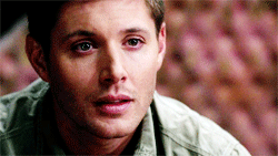 When people say they don't understand tumblr