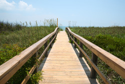 Cocoa Beach, Florida, 2009    Comments/Questions?