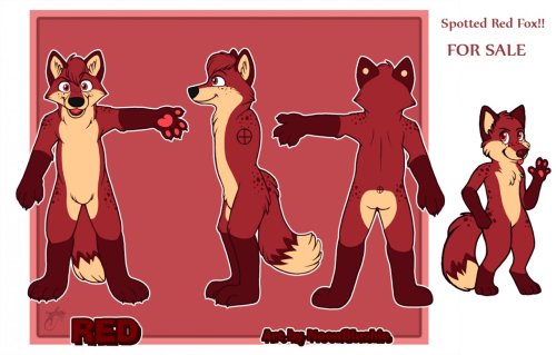 BUY MY GENERIC RED FOX CHARACTER LOL!!!  adult photos