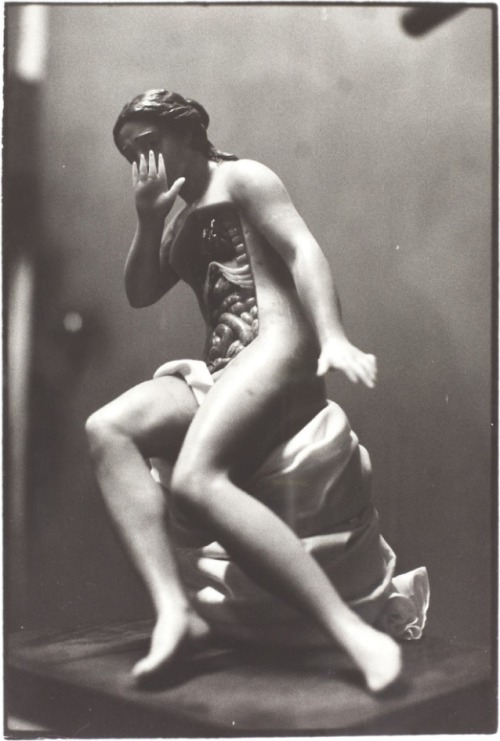 boystown:Zoe Leonard - Seated Anatomical Model (1991/92)