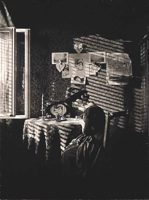 reblololo:
“ Alfred Stieglitz
”