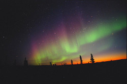 atomos:  Aurora at Dawn (by David Cartier, Sr.) 