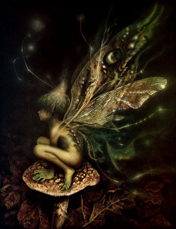 thefae:  by Brian Froud 