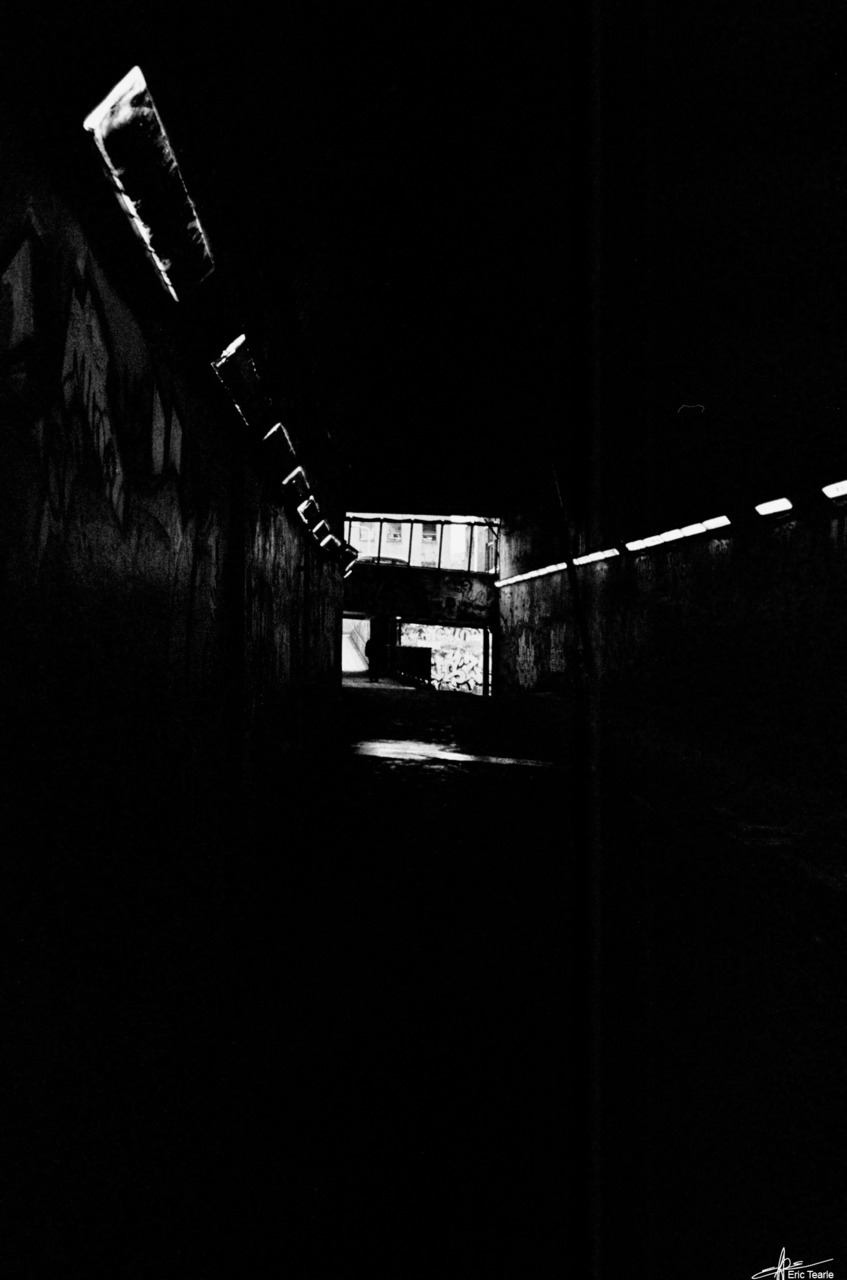 refugado:  erictearle:  Leake Street, 2011 Making most of the little light. The natural