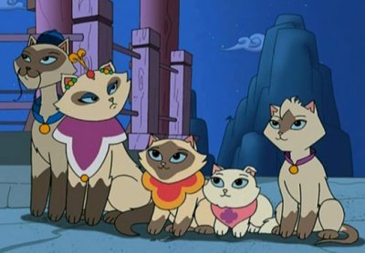 cocochanelchocolat:  jennayang:  who remembers our favorite chinese cat?  If you