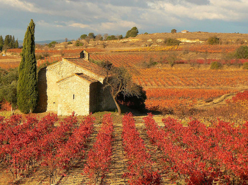 La chapelle dans les vignes (by jolivillage)