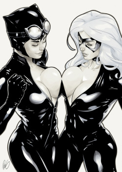 Comicbookcheesecake:  Pretty Kitties Playfully Pressing Against One Another 