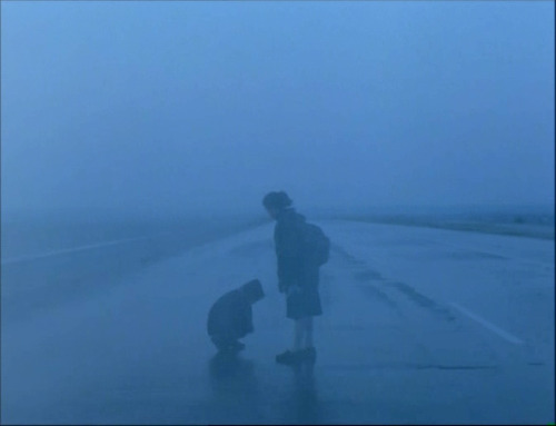 lapetitecole:Landscape In The Mist (Topio stin omichli) Theodoros Angelopoulos, 1988lanuitamericaine