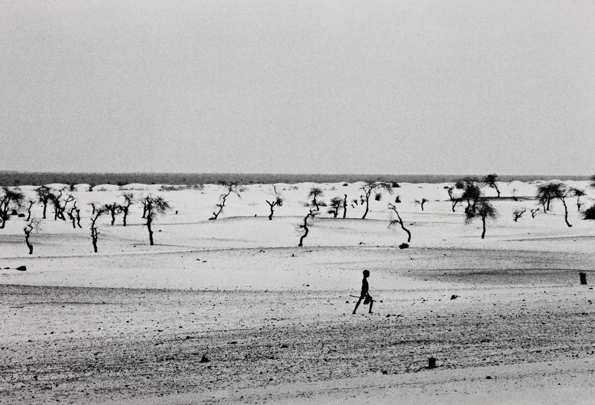 Lake Faguibine photo by Sebastião Salgado, Mali, Africa, 1985