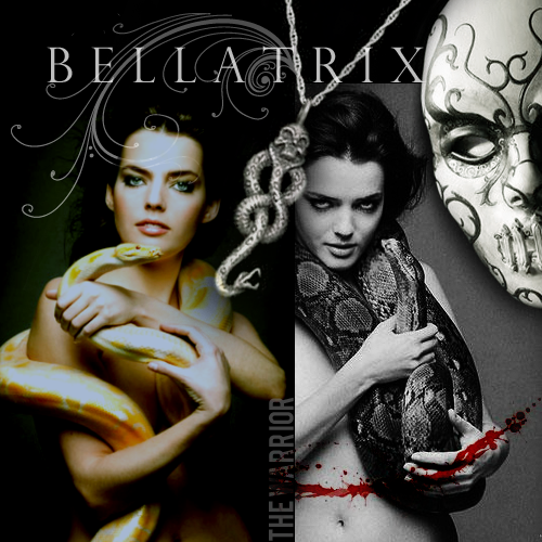 Bellatrix: The Warrior | Bellatrix is the Amazon star. Bella is the Latin plural of bellum, meaning 