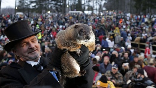 Why do we celebrate Groundhog Day?
Before we received weather reports from rodents and life lessons from time loops, Groundhog Day evolved for centuries into the bizarre holiday it is today.