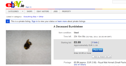 taphonomy:  rooshoes:  temporary-virgin:  why am i laughing so hard “used” this is why you dont tell sollux about ebay  the lousy out–of–focus photo  omg 